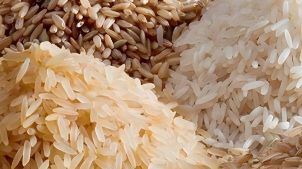 Rice Prices Rise ಗೋಧಿ, ಅಕ್ಕಿ ಬೆಲೆಗಳಲ್ಲಿ ತೀವ್ರ ಏರಿಕೆ ಸರ್ಕಾರ ತೆಗೆದುಕೊಂಡ
