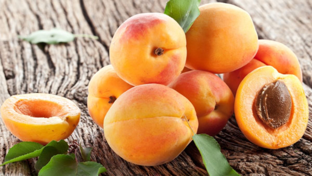 Peach Fruit Health Benefits: ಹೃದಯದಿಂದ ಕೂದಲಿನವರೆಗೆ ಪೀಚ್ ಹಣ್ಣಿನ ಆರೋಗ್ಯಕರ  ಪ್ರಯೋಜನಗಳಿವು.. | Peach Fruit (Aadu fruit) Benefits in Kannada: Health  Benefits, Nutritional Value - Kannada Oneindia