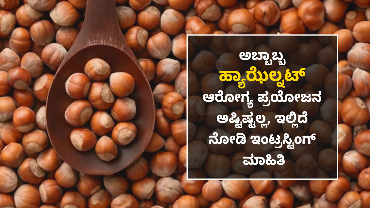Hazelnut Health Benefits ಅಬ್ಬಾಬ್ಬ ಹ್ಯಾಝೆಲ್ನಟ್ ಆರೋಗ್ಯ ಪ್ರಯೋಜನ