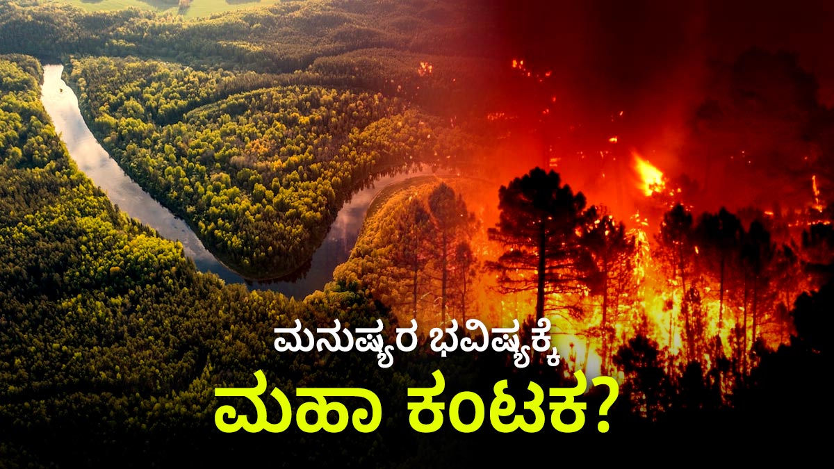 Amazon River ಮನುಷ್ಯರ ಭವಿಷ್ಯಕ್ಕೆ ಎದುರಾಯ್ತು ಮಹಾ ಕಂಟಕ? ಕೆಲವೇ ವರ್ಷದಲ್ಲಿ