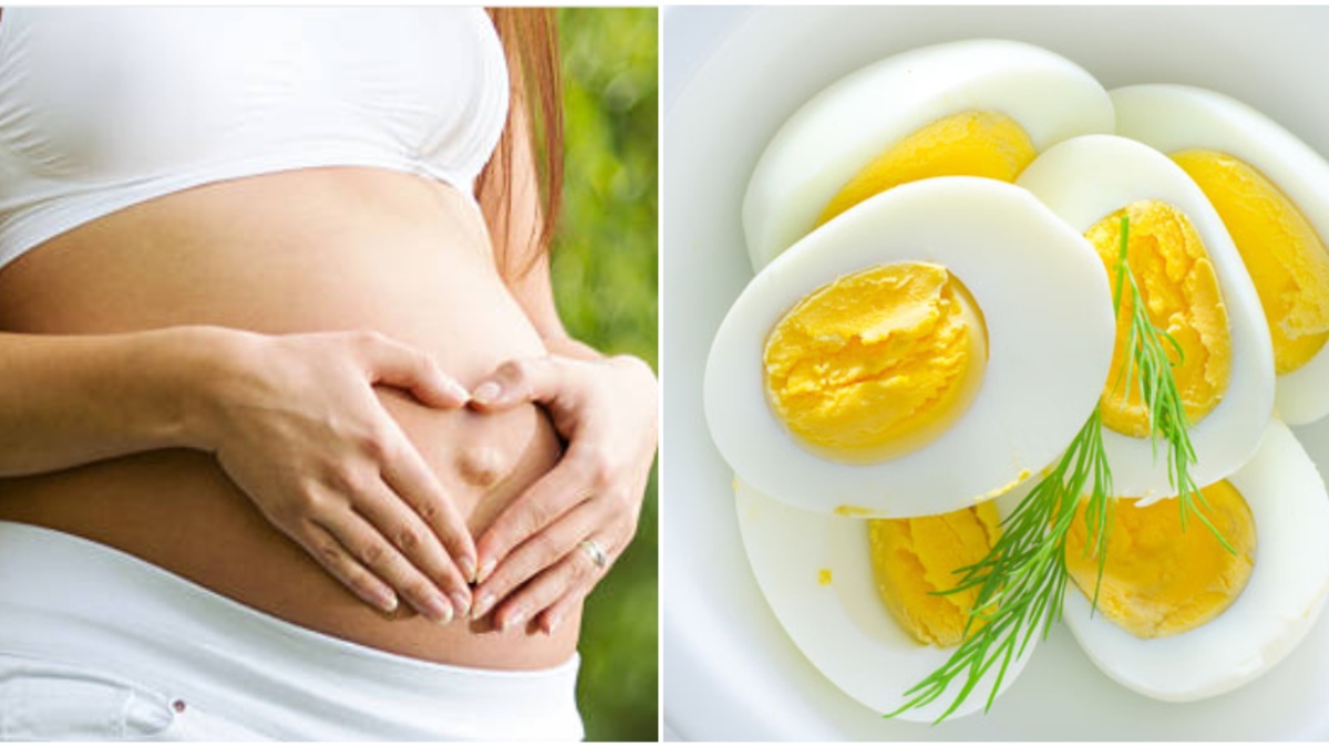 ಗರ್ಭಿಣಿಯರು ಮೊಟ್ಟೆ ತಿನ್ನುವುದು ಸರಿಯೋ? ತಪ್ಪೋ? ಮಿಸ್‌ ಮಾಡದೇ ಈ ಮಾಹಿತಿ ಓದಿ