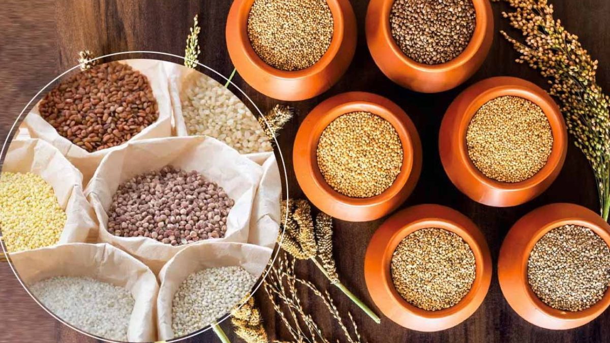 Cereals ಬರದಲ್ಲೂ ಉತ್ತಮ ಸಿರಿಧಾನ್ಯ ಬೆಳೆ ಬೆಳೆದ ರೈತ ಸಹೋದರರು Annigeri