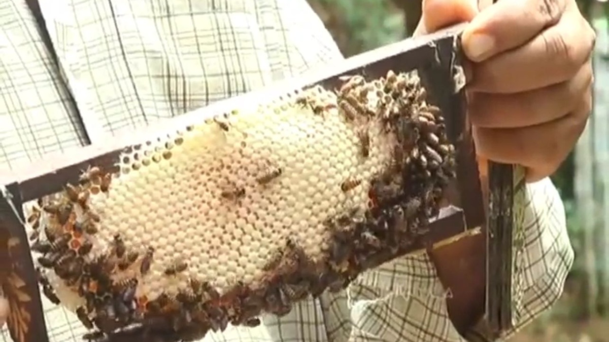 ಸಿಮೆಂಟ್ ಶೀಟ್‌ನಲ್ಲೂ ಗೂಡು ಕಟ್ಟುತ್ತೆ ಜೇನು ಪುತ್ತೂರು ಕೃಷಿಕನ ನೂತನ ಅವಿಷ್ಕಾರ