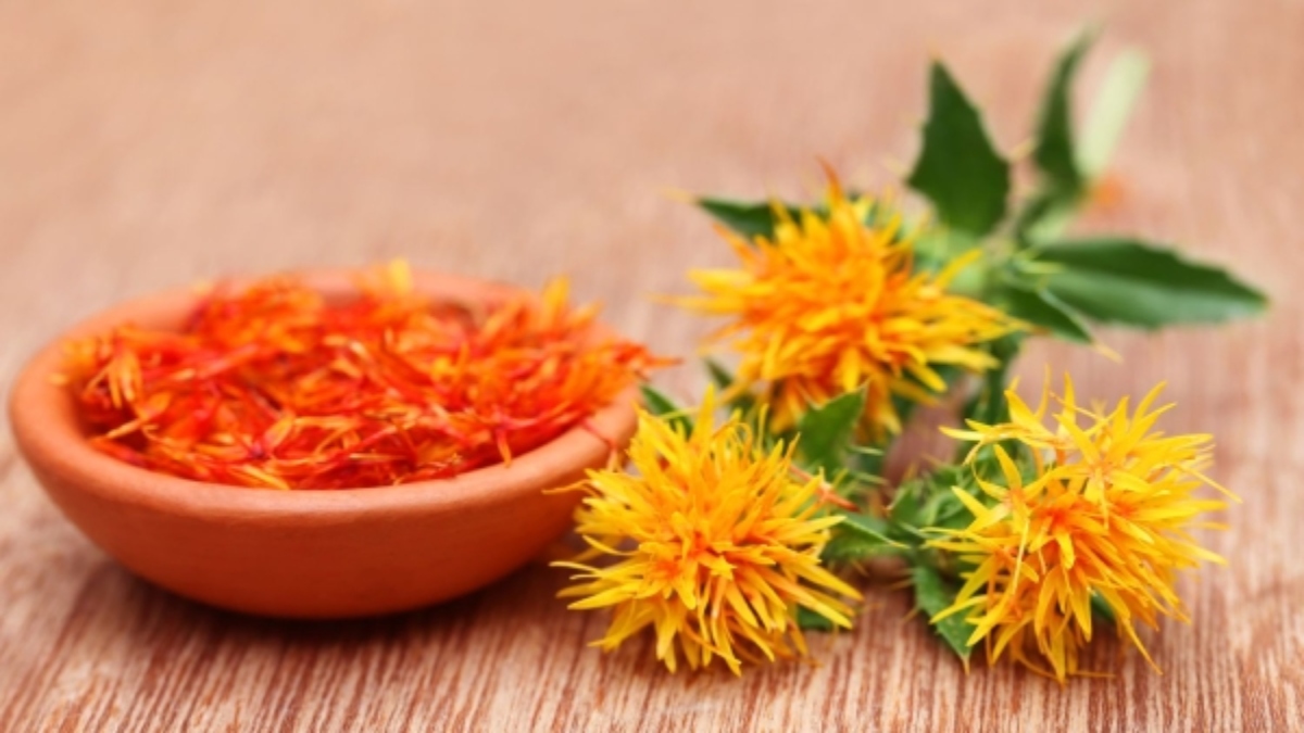 Safflower Oil Benefits ನಿಮ್ಮ ಅಂದ ಹೆಚ್ಚಿಸುವ ಕುಸುಬೆ ಎಣ್ಣೆ ಎಲ್ಲರು ವಾವ್ಹ್