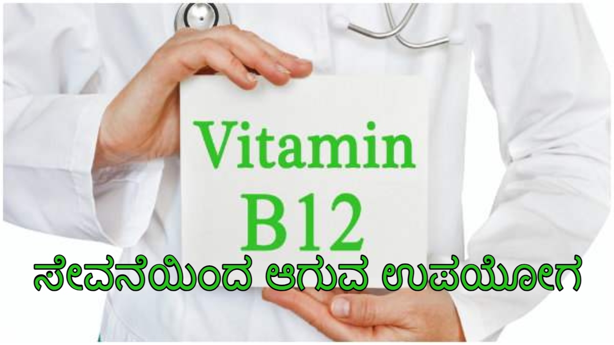 Diet ಕೊಲೆಸ್ಟ್ರಾಲ್ ಮಟ್ಟವನ್ನು ನಿಯಂತ್ರಿಸಲು ವಿಟಮಿನ್ ಬಿ 12 ಹೊಂದಿರುವ ಆಹಾರ