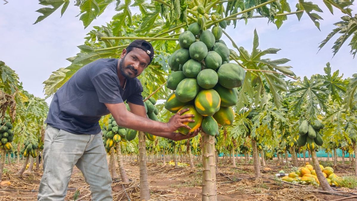 Raichur 2 ಎಕರೆ ಜಮೀನಿನಲ್ಲಿ ತೋಟಗಾರಿಕೆ, ಮೀನುಗಾರಿಕೆ ಮಾದರಿ ಯುವಕ Young