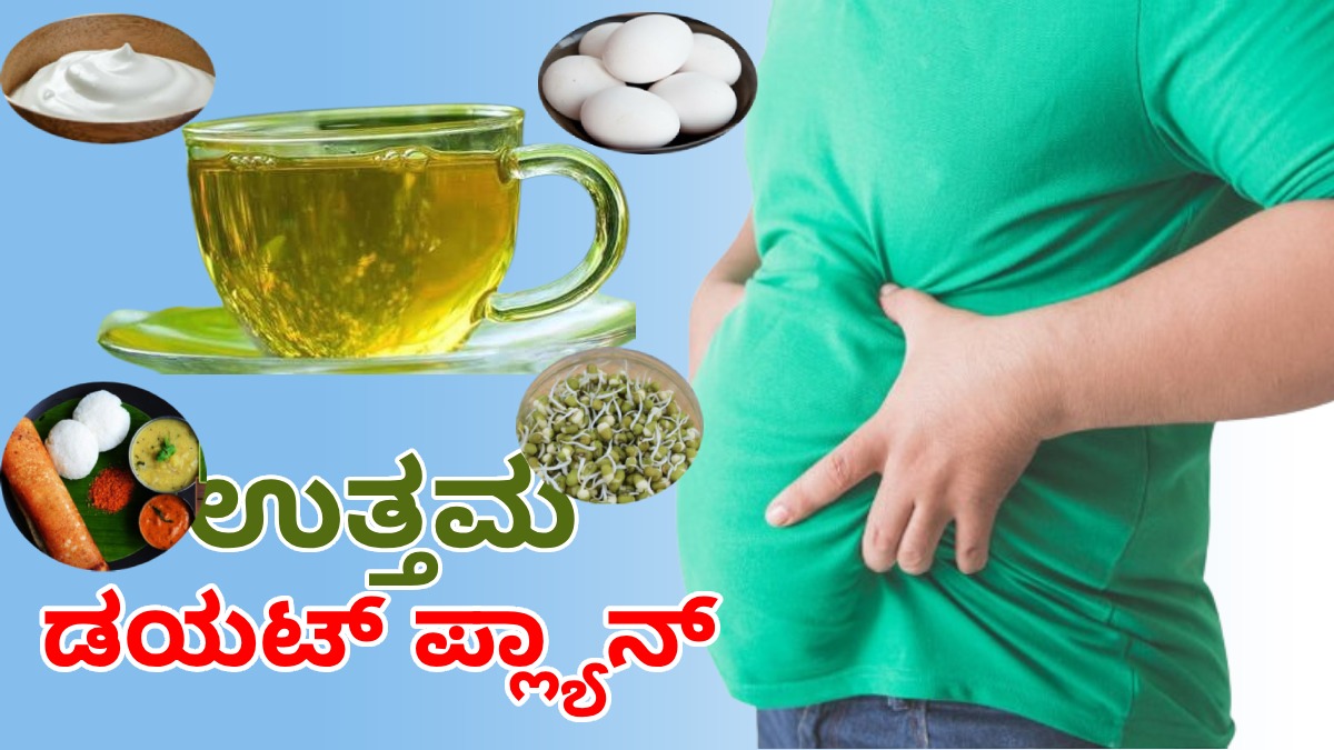 Weight Loss ತೂಕ ನಷ್ಟಕ್ಕೆ ಏಳು ದಿನ ತಿಂಡಿಯಲ್ಲಿ ಈ ಡಯಟ್‌ ಪ್ಲ್ಯಾನ್‌ ಫಾಲೋ ಮಾಡಿ Follow this 7Day