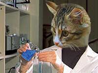 oxygen + hydrogen = Water