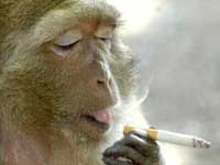 We will not wake up until something happens to us