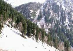 Sonmarg