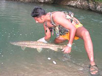 Picnic to Bheemeshwari