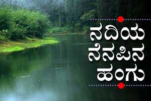 Resurgence of Kannada novel on internet