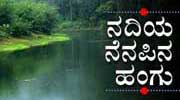 Resurgence of Kannada novel on internet