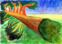 A Bangalore Tree Lover is crying