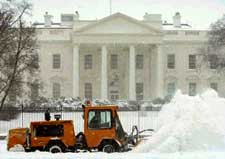 White House or Snow White !