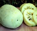 'Don't kill Ash Gourd'