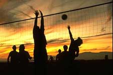 Volleyball Game