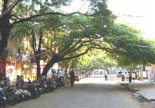 A peaceful street in Jayanagar