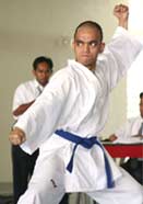 Karate, the martial art