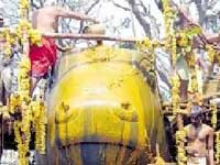 Mahabhisheka performed to Nandi statue in Chamundi hills after a gap of 150 years