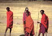 Masai warrior