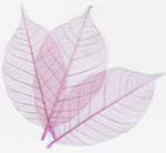 Ele, Ele! poem by H. K. Ramapriyan