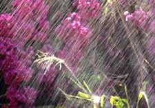 Matthu Barisuva Hotthu Bitthu Male Mutthu