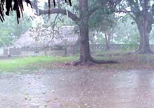 Rains have come here to stay