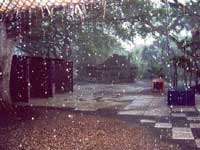 Rain Poetry by S. Kshithi, Bangalore