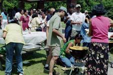 Clippings of Vidyaranya Picnic