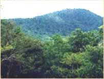 Biligiri Rangana Hills