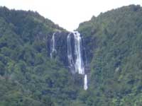 Beautiful Wairere Falls in NewZealand