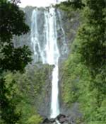 Wairere Falls